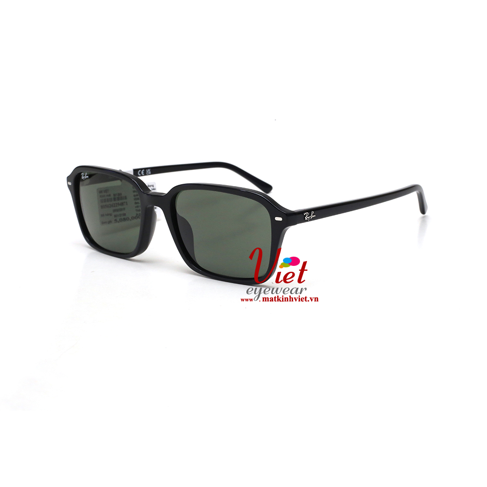 Kính mát RayBan RB2231F 901/31